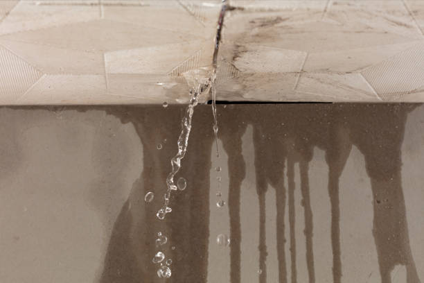 Professional Water Damage Repair technician working in Spring Hill, KS